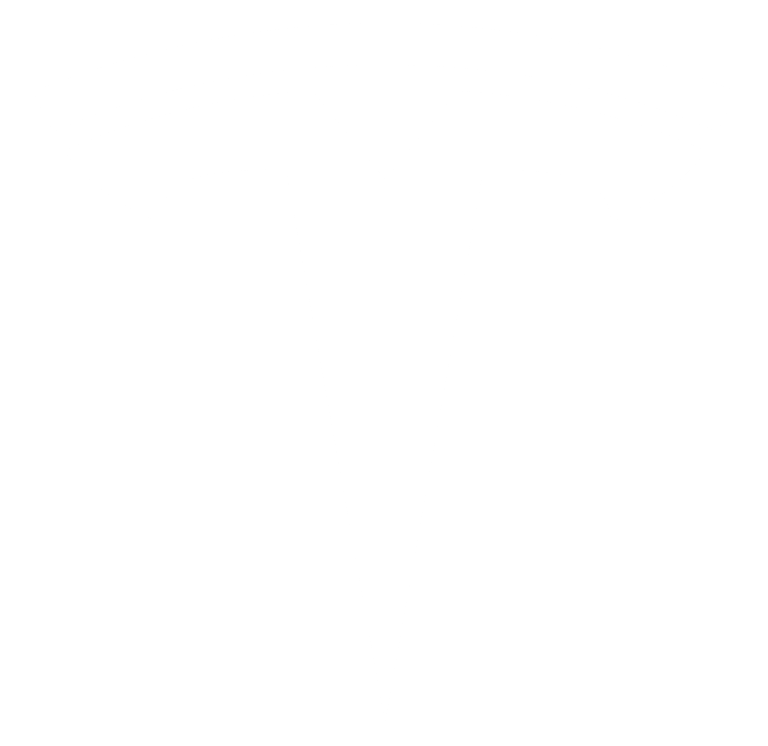 TESLA Logo weiß