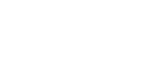 ZPerformance, Felgen Logo